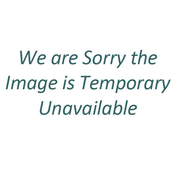 35DS 55L Number Stamped on Balance